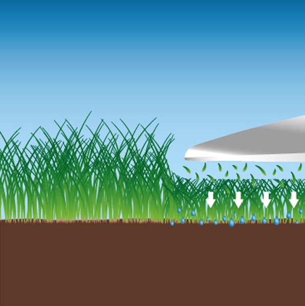Typisch Rasenroboter: Das Schnittgut wird nicht eingefangen, sondern fällt einfach herunter. Hier versorgt es den Boden mit Feuchtigkeit und Nährstoffen.